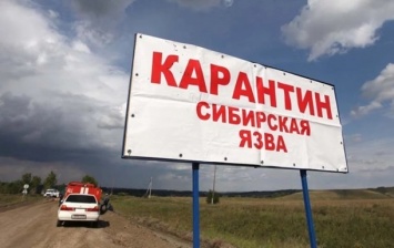 В Киеве риска заражения сибирской язвой нет - Госпродпотребслужба