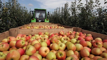 Крымские яблоки пришлись по вкусу гостям их Норвегии