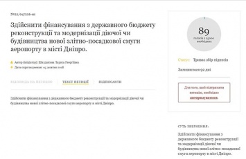 На сайте Президента Украины зарегистрировали фейковую петицию о аэропорте в Днепре