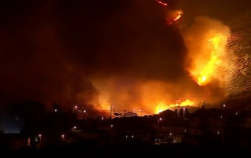 В Португалии начался масштабный лесной пожар