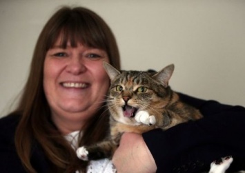 В Великобритании кошка спасла хозяйку от рака