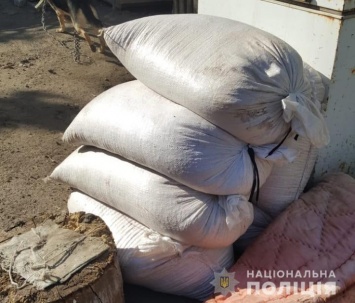 В Запорожской области вор унес 300 кг кукурузы
