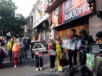 Одесситы протестуют против эксплуатации животных в цирке