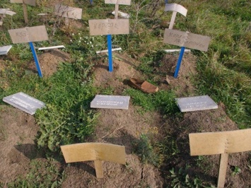 Как могилы собак: одесситы нашли странные захоронения на Западном кладбище