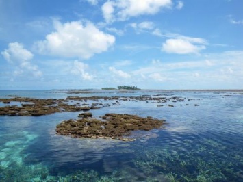 «Суши все меньше»: Глобальное потепление «пожирает» острова в Тихом океане - ученые