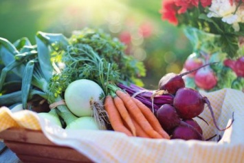 «В селах люди живут дольше»: Чистая органическая еда на 25% снижает риск заболеть раком