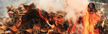 Запорожцы подвергаются опасности, сжигая листву