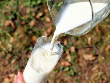 Ассоциация производителей молока сообщила, что 30% молочной продукции в Украине - фальсификат