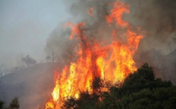 "Повторение трагедии?": в Греции снова вспыхнули масштабные лесные пожары