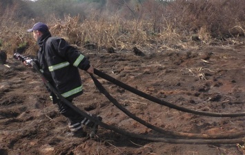 В Черниговской области горят торфяники