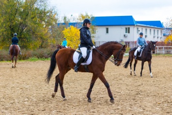 Спортивный Днепр: в городе прошел чемпионат по конному спорту