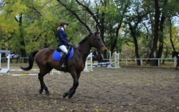 В Запорожье прошло открытие чемпионата по конному спорту (ФОТО)