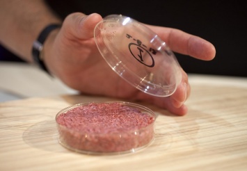 В США начнут массовую продажу искусственного мяса