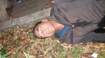На бульваре Днепра нашли мужчину без сознания, его собака никого не подпускала