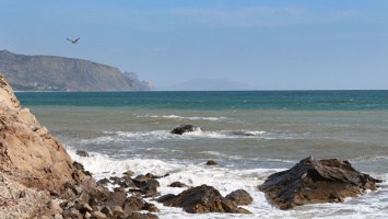 Ученые оценили экологическое состояние Черного моря