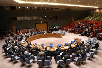 Совбез ООН осудил проведение выборов в "ДНР" и "ЛНР"