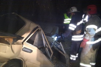 Под Киевом авто влетело в дерево: погибли двое жителей села Луговики