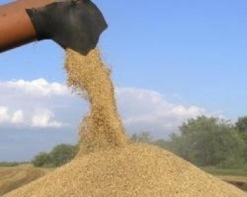 Украинские аграрии собрали 57,5 млн тонн зерна