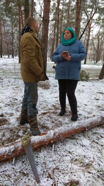 Лесхоз почти год не может «выбить» штраф за незаконно спиленное дерево в Матвеевском лесу Николаева