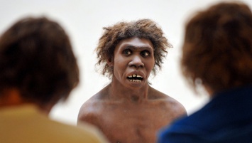 Ученые выяснили, как выглядела грудь у неандертальцев