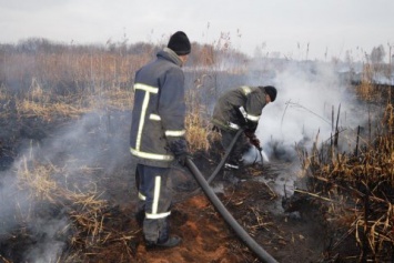 В Черниговской области загорелось боле 18 га торфяников
