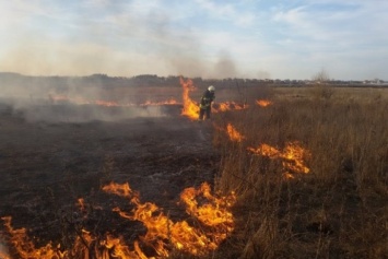 До конца недели в Украине сохранится чрезвычайная пожароопасность