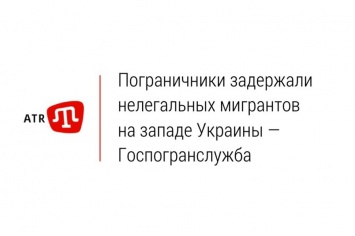 Пограничники задержали нелегальных мигрантов на западе Украины - Госпогранслужба