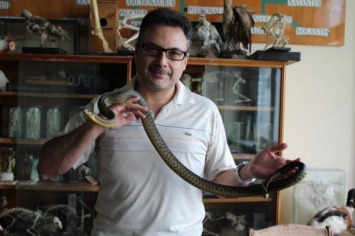В Днепре змей можно встретить где угодно - зоолог