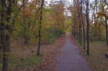 В сети показали красоту осеннего парка Филибера (видео)