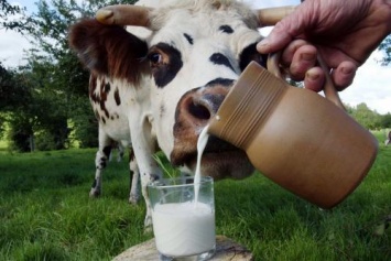 В Восточной Азии молочные продукты начали производиться 3300 лет назад
