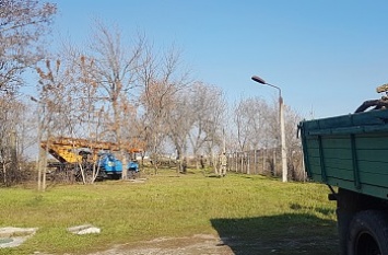«Зеленхоз» проводит обрезку деревьев по всему Бердянску