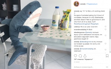 Новый тренд Instagram - ikeashark. Почему в соцсетях все фотографируются с плюшевыми акулами из IKEA