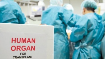 Известные хирурги рассказали в Запорожье о перспективах трансплантации