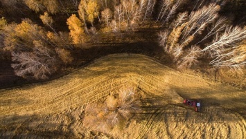 Российские ученые работают над улучшением средства защиты урожая зерна