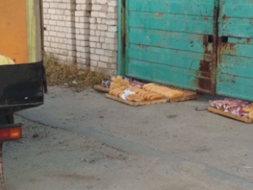 Запорожцев обескуражил способ доставки хлеба в местный магазин (ФОТО)