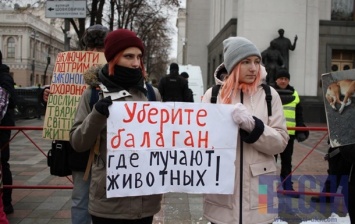 Под Верховной Радой митингуют зоозащитники