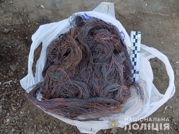 Житель Беляевки срезал на металлолом 150 метров интернет-кабеля