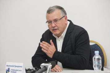 Гриценко подал в суд на БПП и нардепа Бригинца