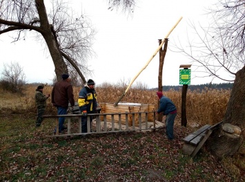 В полтавском парке восстанавливают колодец-журавль (фото)
