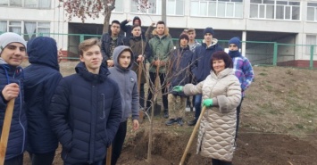 В Индустриальном районе высадили аллею катальп