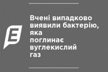 Ученые случайно обнаружили бактерию, поглощающую углекислый газ