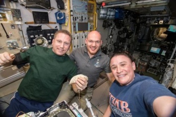 Космонавты отметят День благодарения на борту МКС