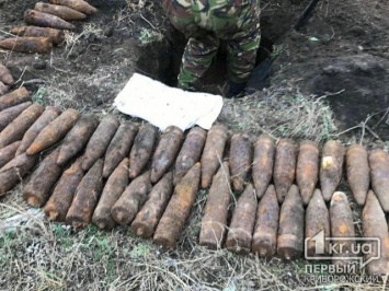 Недалеко от Кривого Рога обезвредили более 100 взрывоопасных снарядов
