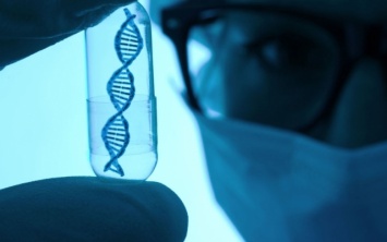 Ученые откорректировали геном эмбриона