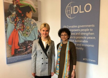 Светличная провела встречу с генеральным директором IDLO