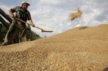 «Росток-Холдинг» заявляет, что отгрузка зерна с Глуховского элеватора ведется законно