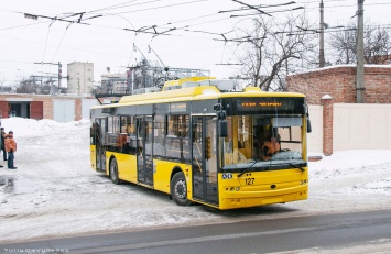 Одна из петиций на сайте горсовета стремительно набирает голоса