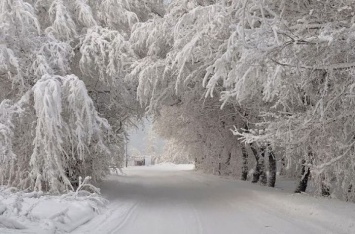 До 30 сантиметров снега: Украину накроет мощная стихия