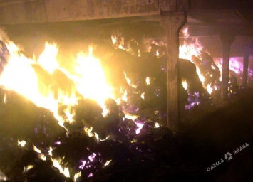 Минувшей ночью под Одессой пламя уничтожило 20 тонн сена