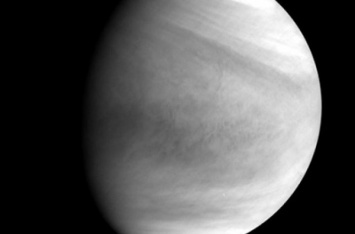 Ученые заметили озон над полярными областями Венеры